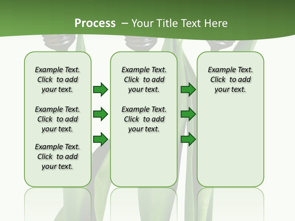 Gift Clipping Tulip PowerPoint Template