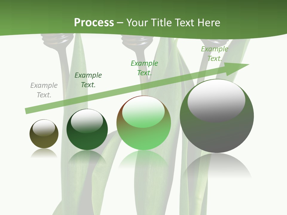 Gift Clipping Tulip PowerPoint Template