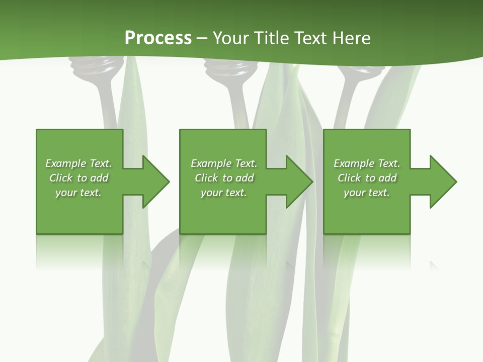 Gift Clipping Tulip PowerPoint Template