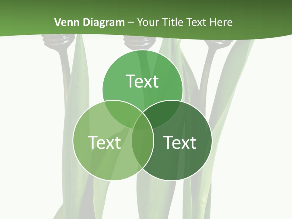 Gift Clipping Tulip PowerPoint Template