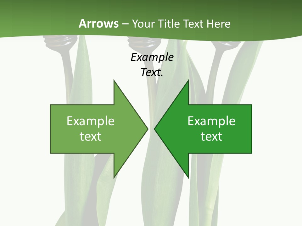 Gift Clipping Tulip PowerPoint Template