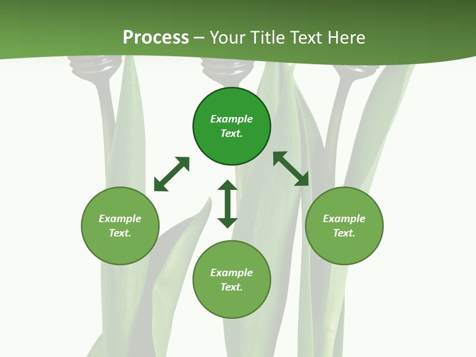 Gift Clipping Tulip PowerPoint Template