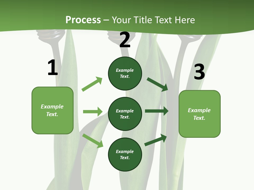 Gift Clipping Tulip PowerPoint Template