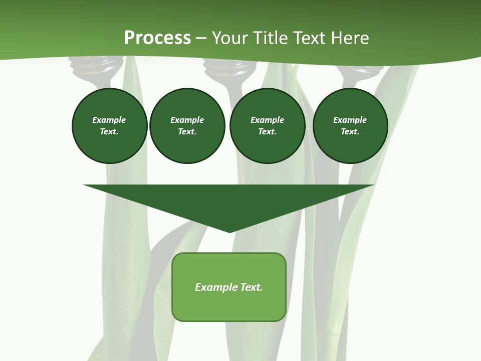 Gift Clipping Tulip PowerPoint Template
