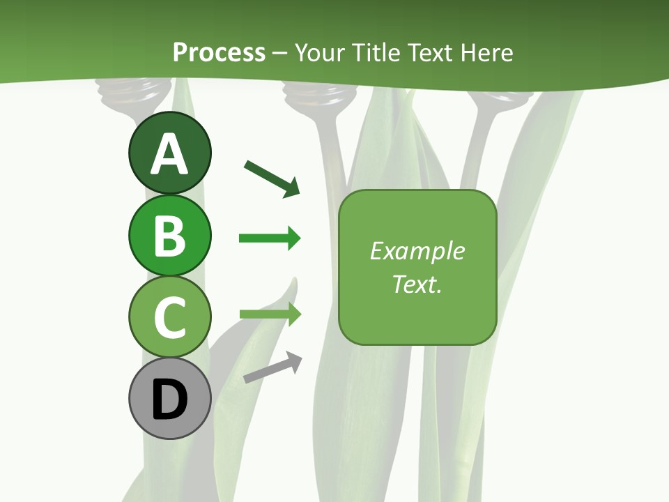 Gift Clipping Tulip PowerPoint Template