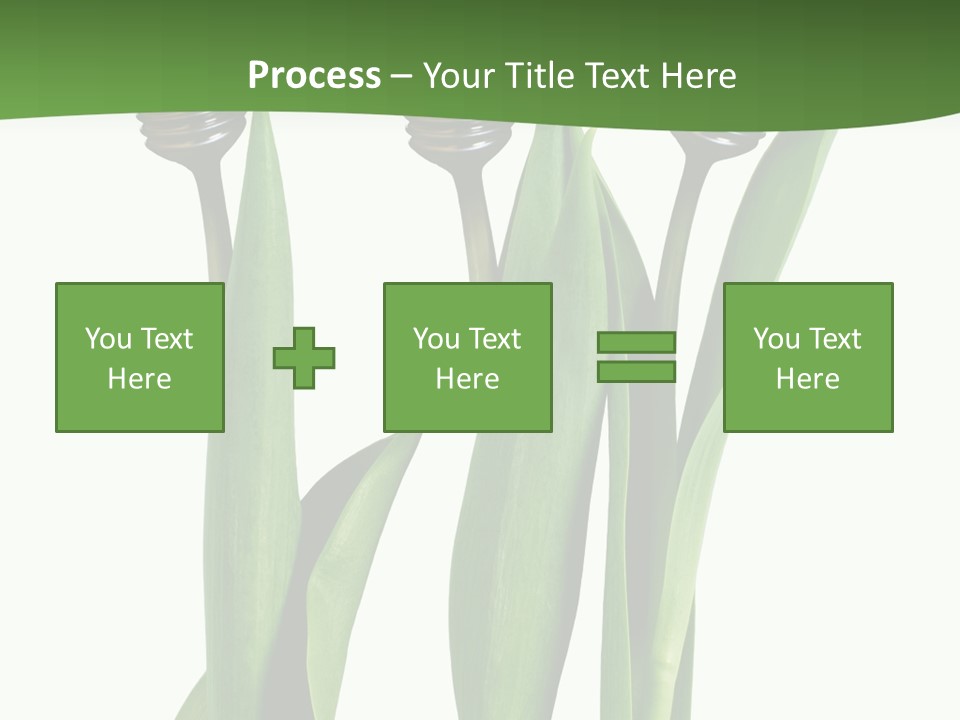Gift Clipping Tulip PowerPoint Template