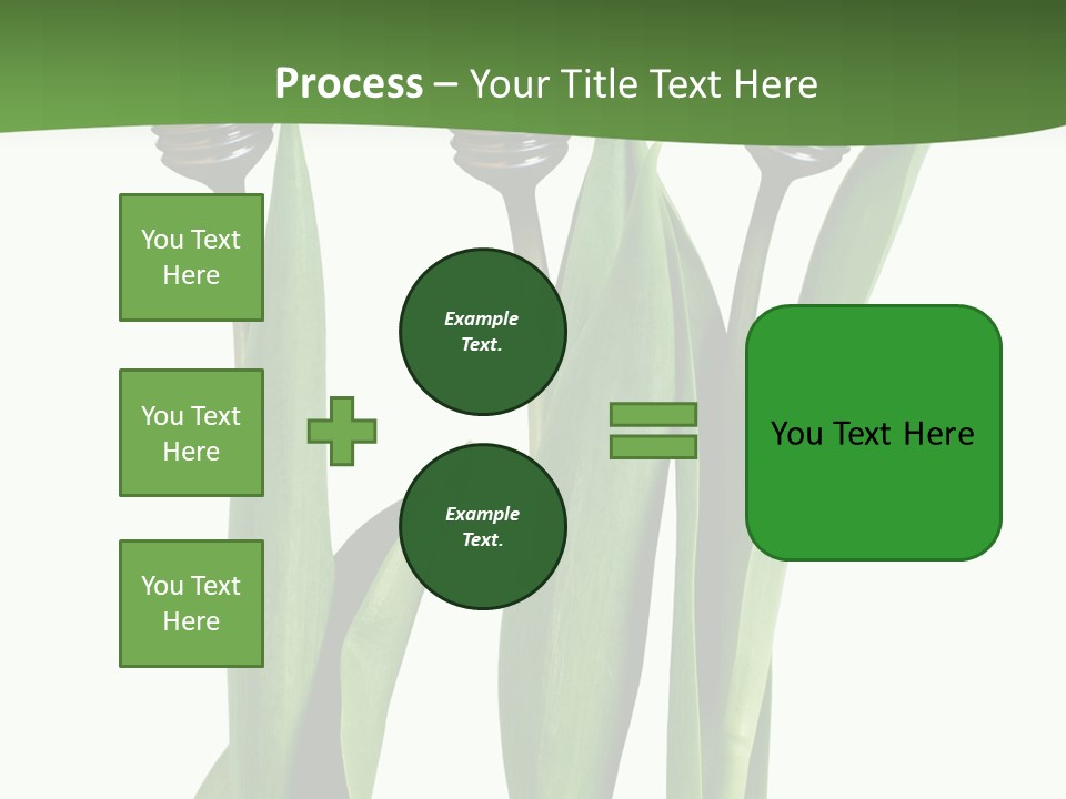 Gift Clipping Tulip PowerPoint Template