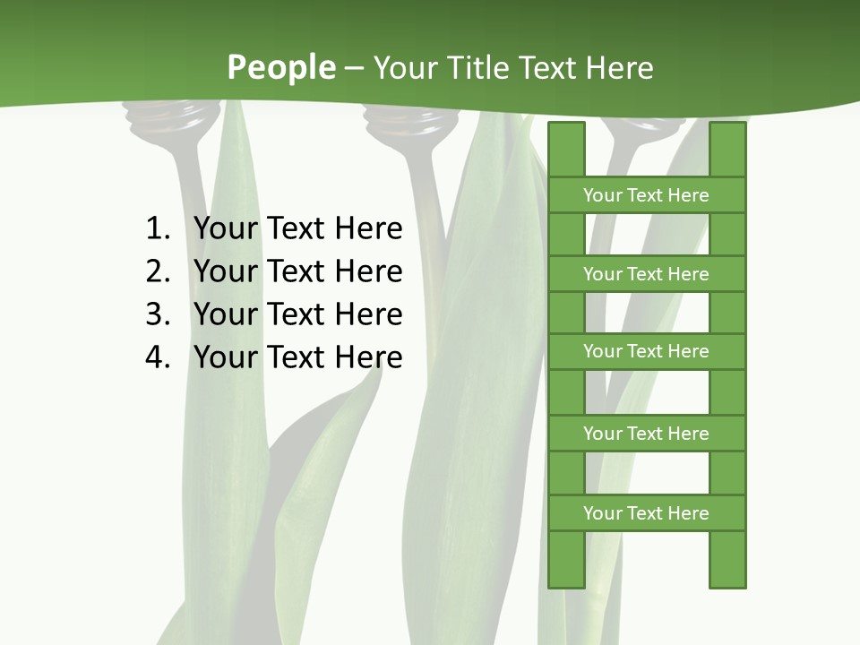 Gift Clipping Tulip PowerPoint Template