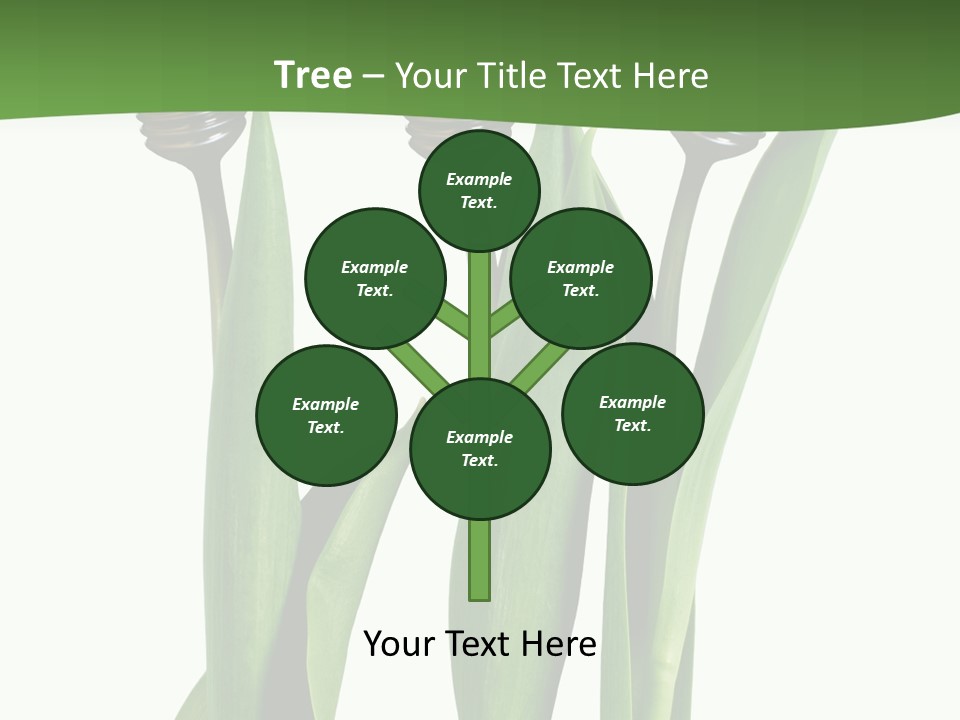 Gift Clipping Tulip PowerPoint Template