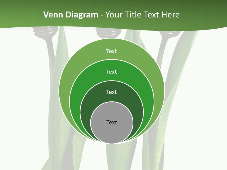 Gift Clipping Tulip PowerPoint Template