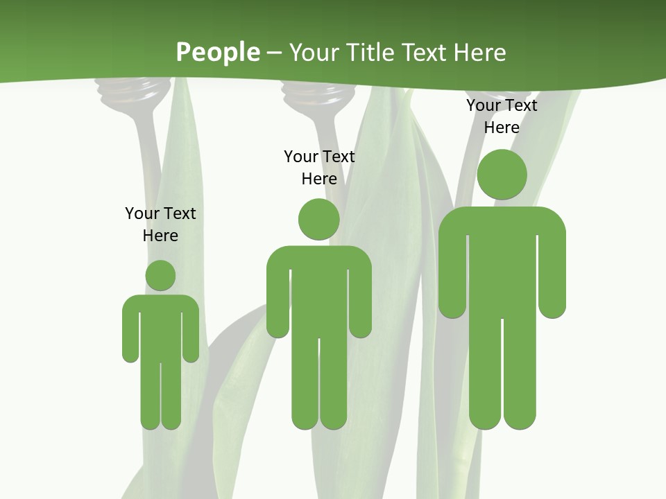 Gift Clipping Tulip PowerPoint Template