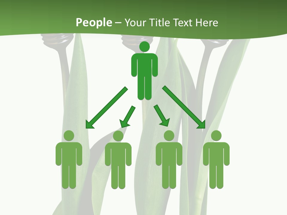 Gift Clipping Tulip PowerPoint Template