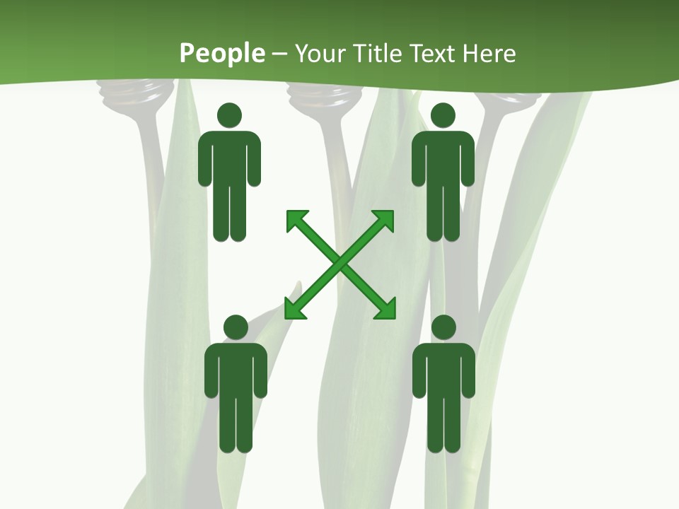 Gift Clipping Tulip PowerPoint Template