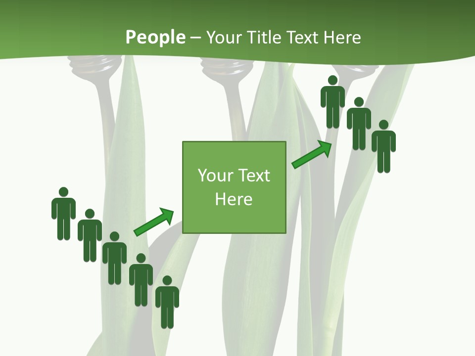 Gift Clipping Tulip PowerPoint Template