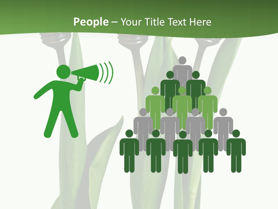 Gift Clipping Tulip PowerPoint Template