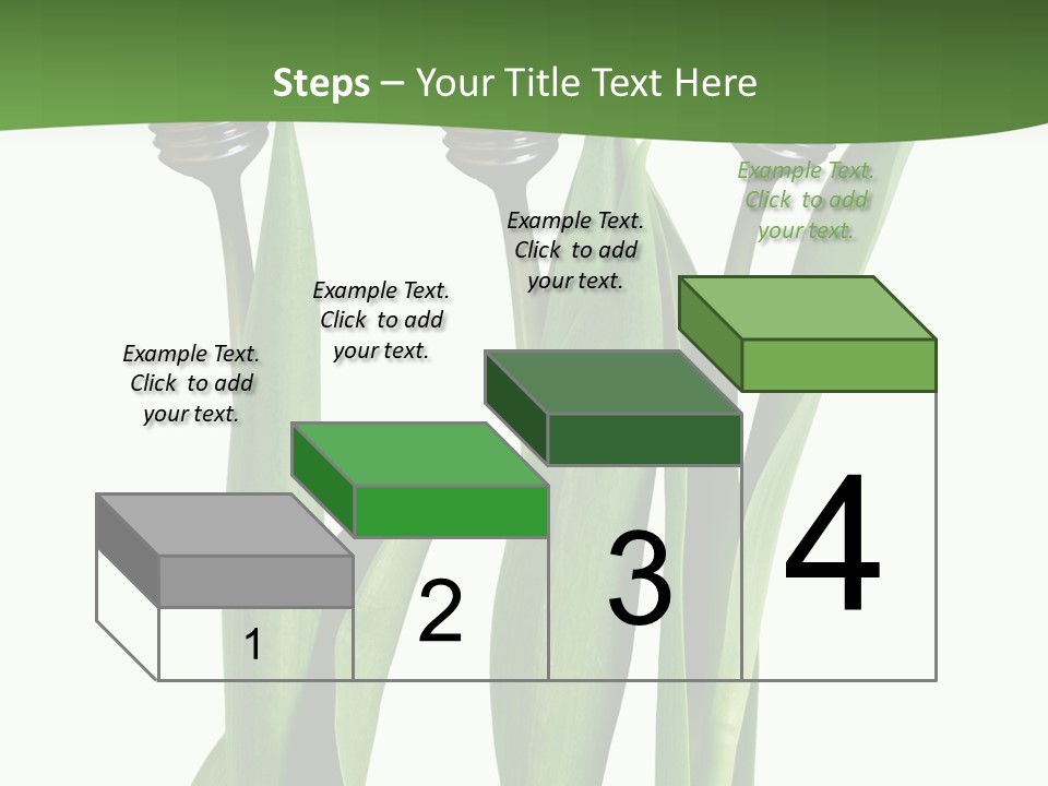 Gift Clipping Tulip PowerPoint Template