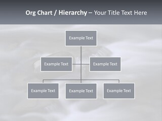 Flowing Water Beauty Great Smoky Mountains PowerPoint Template