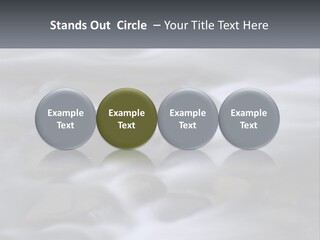 Flowing Water Beauty Great Smoky Mountains PowerPoint Template