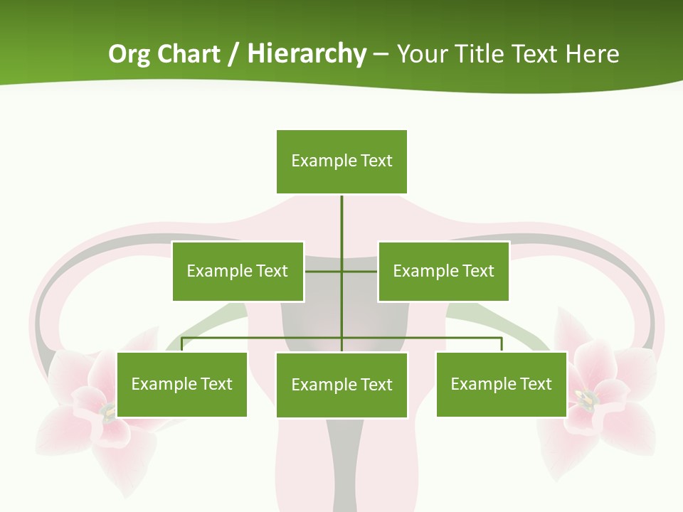 Medical Figure Anatomy PowerPoint Template