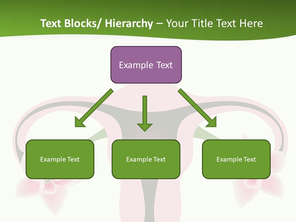 Medical Figure Anatomy PowerPoint Template