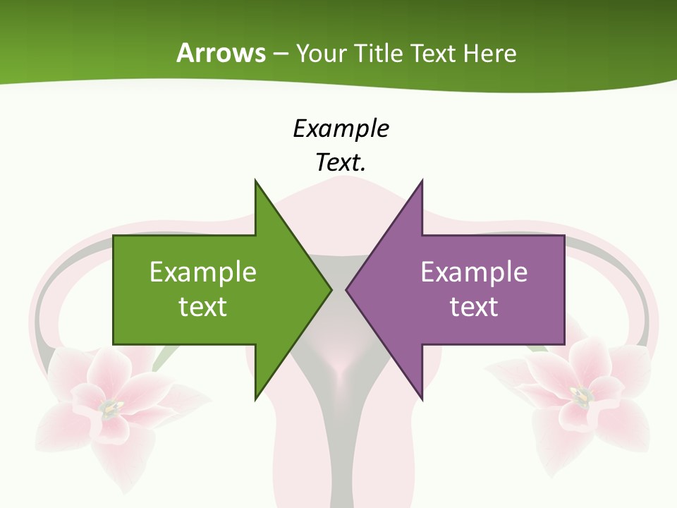 Medical Figure Anatomy PowerPoint Template