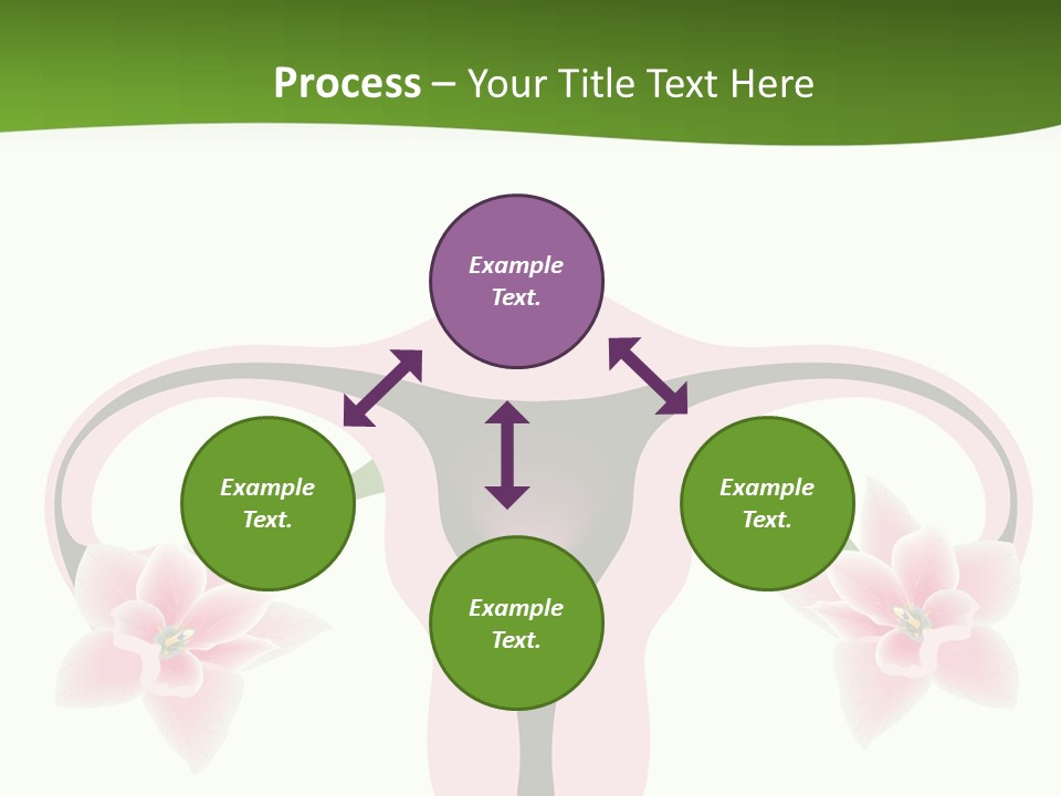 Medical Figure Anatomy PowerPoint Template