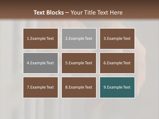 Jail Captive Cell PowerPoint Template