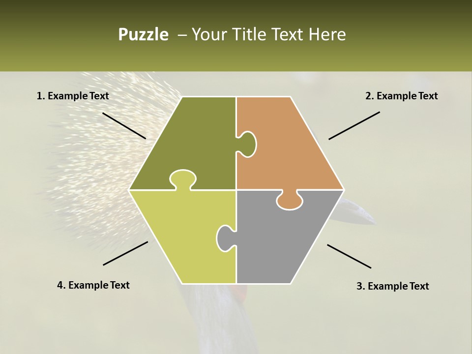 African Male Beak PowerPoint Template