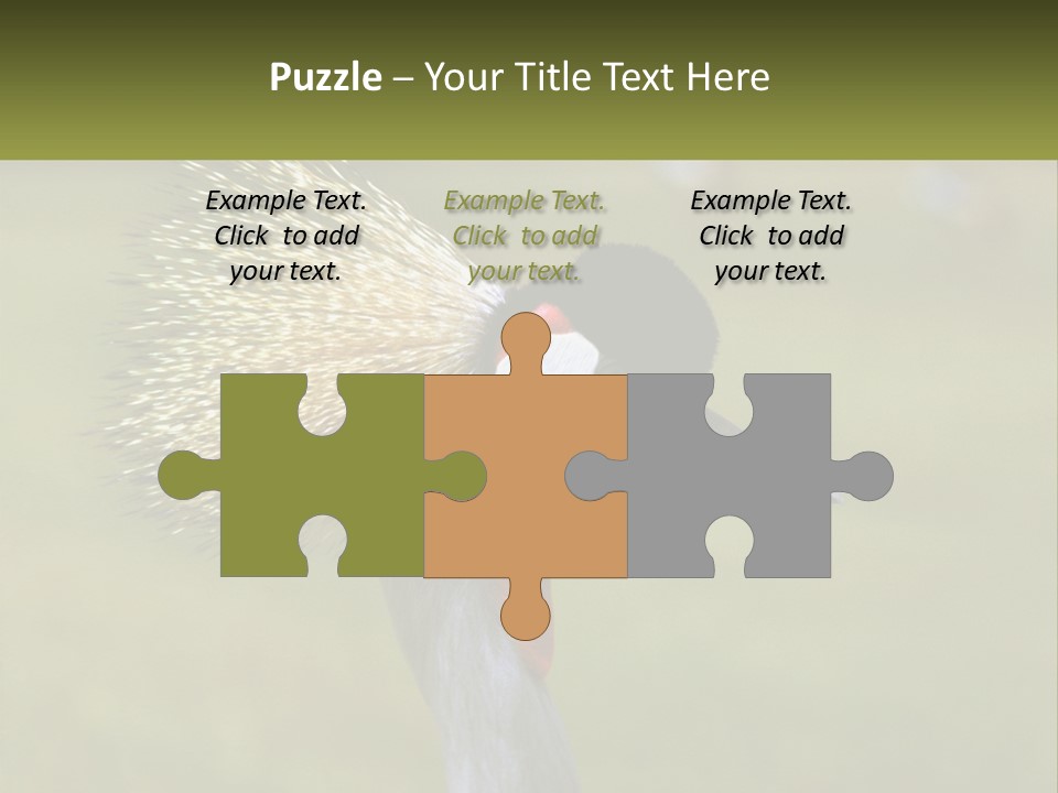 African Male Beak PowerPoint Template