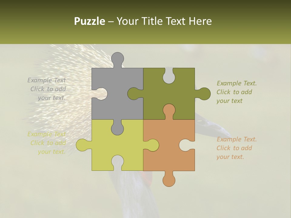 African Male Beak PowerPoint Template