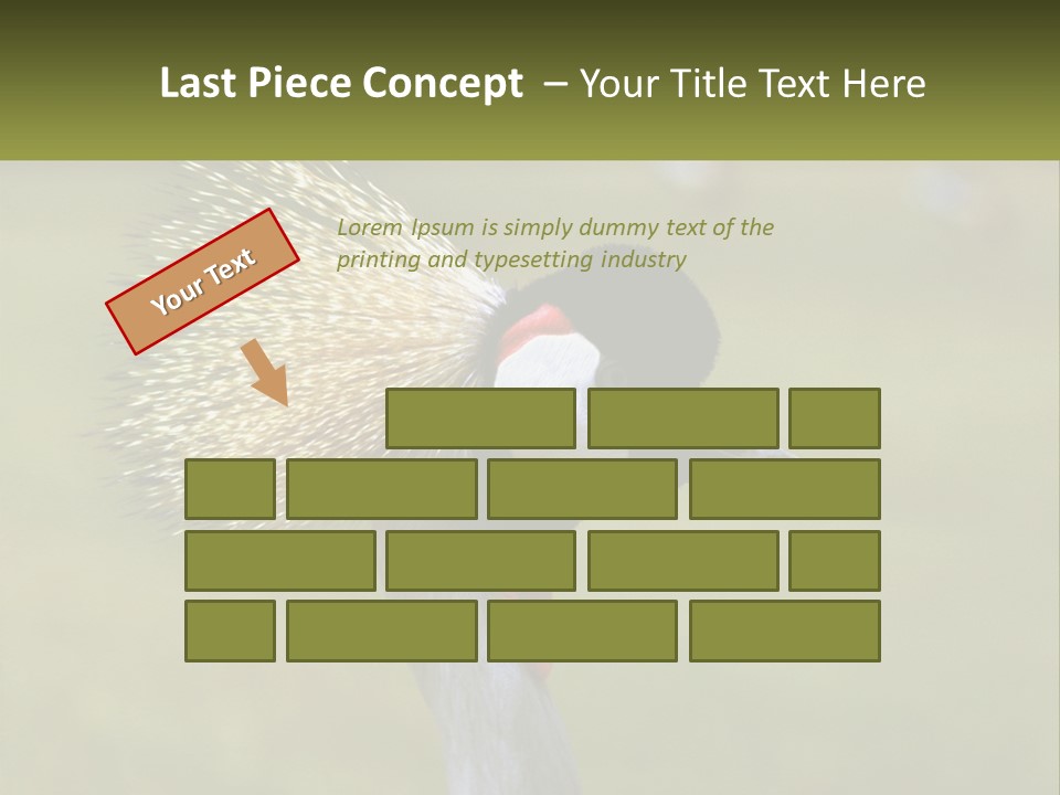 African Male Beak PowerPoint Template