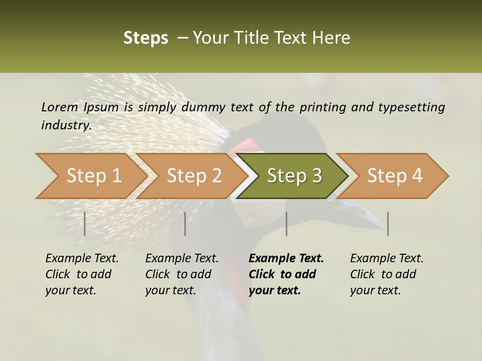 African Male Beak PowerPoint Template