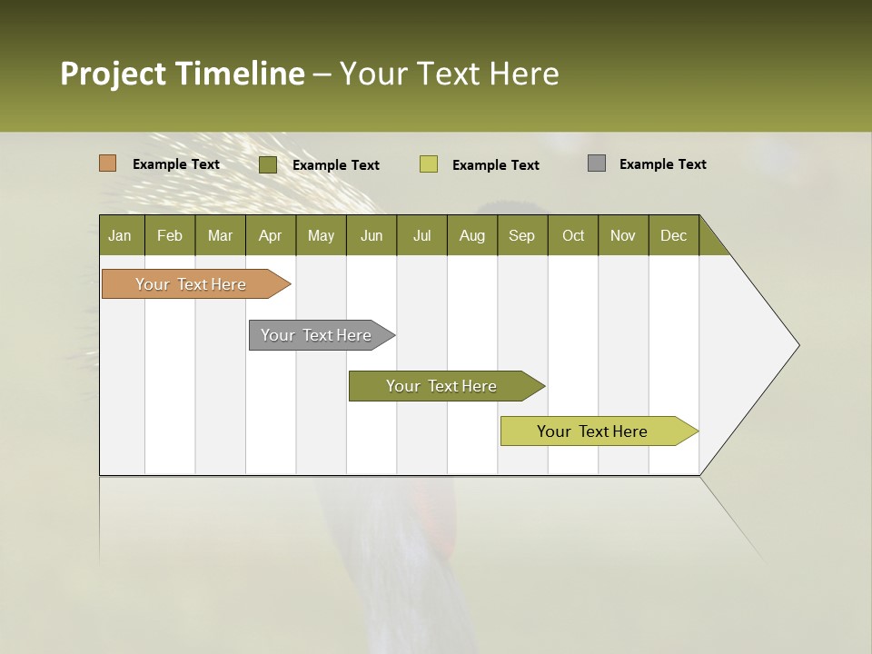 African Male Beak PowerPoint Template