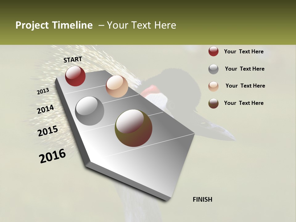 African Male Beak PowerPoint Template