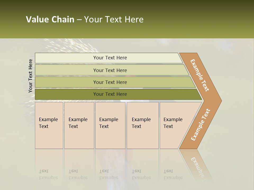 African Male Beak PowerPoint Template
