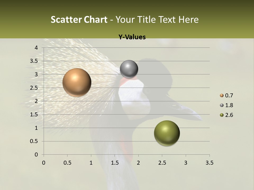 African Male Beak PowerPoint Template