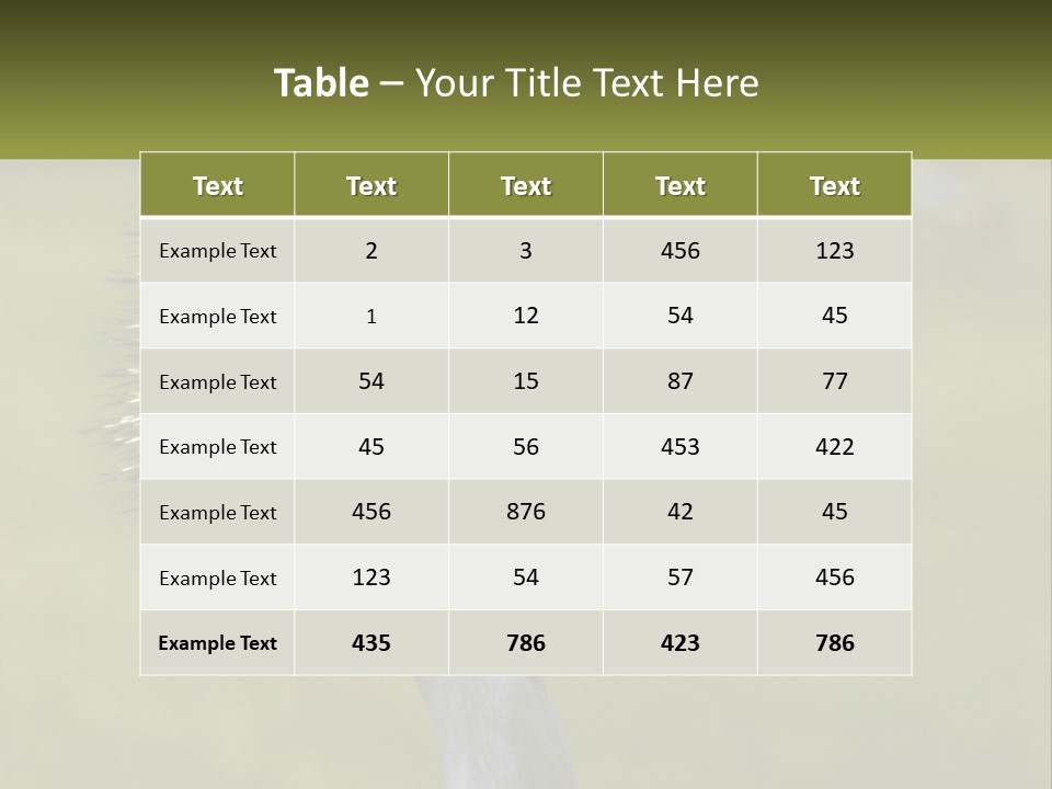 African Male Beak PowerPoint Template