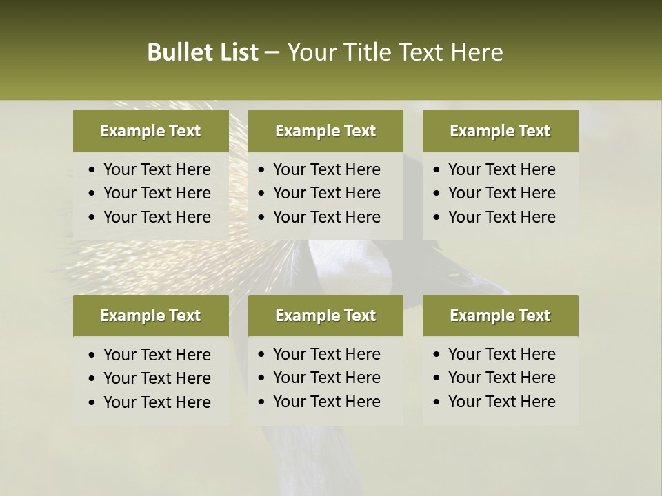 African Male Beak PowerPoint Template