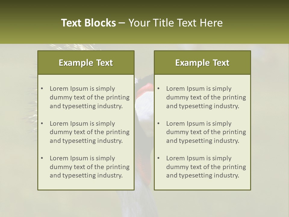 African Male Beak PowerPoint Template