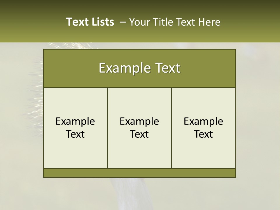 African Male Beak PowerPoint Template