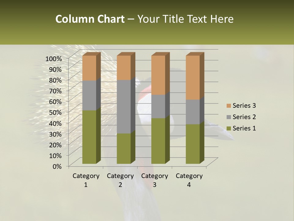 African Male Beak PowerPoint Template