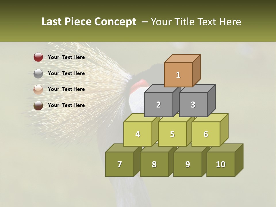 African Male Beak PowerPoint Template