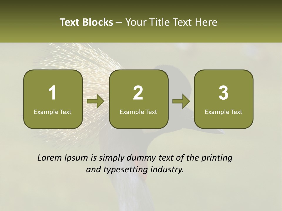 African Male Beak PowerPoint Template