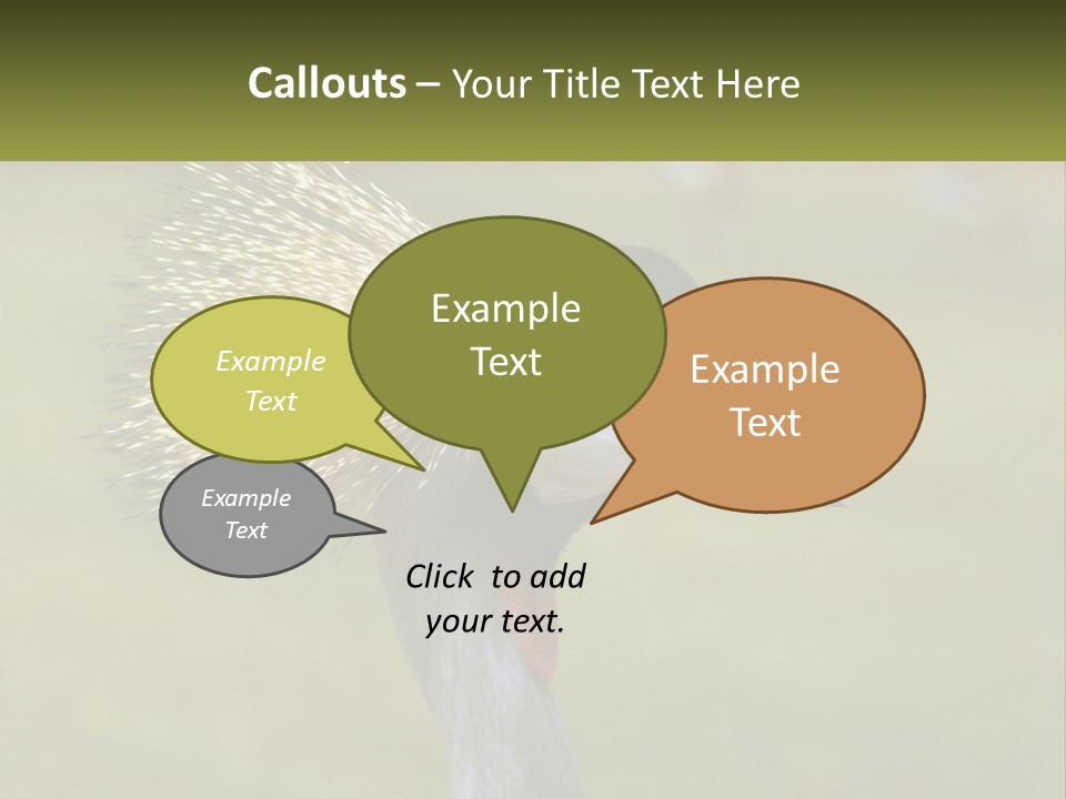 African Male Beak PowerPoint Template