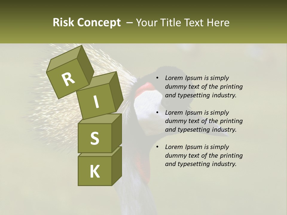 African Male Beak PowerPoint Template