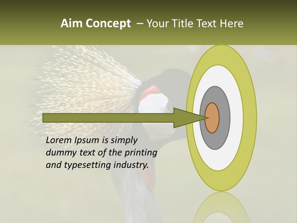 African Male Beak PowerPoint Template