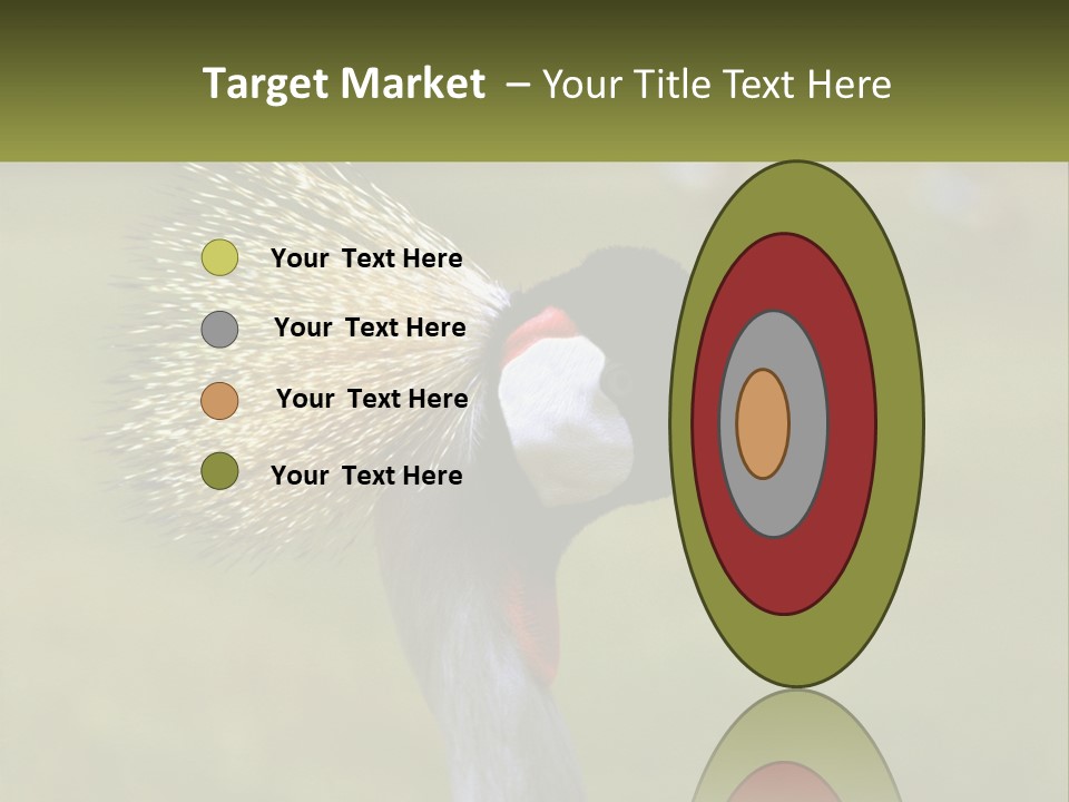 African Male Beak PowerPoint Template