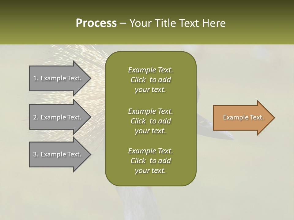 African Male Beak PowerPoint Template
