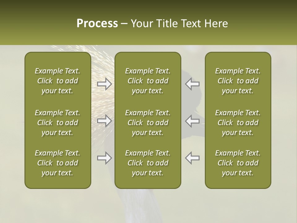 African Male Beak PowerPoint Template