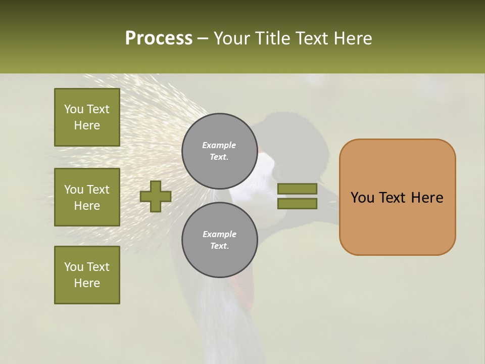 African Male Beak PowerPoint Template